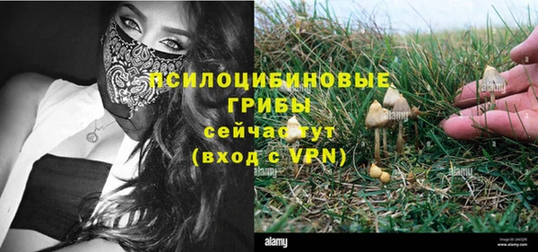 ALPHA-PVP Белокуриха